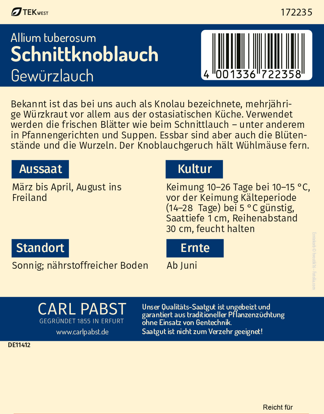 Schnittknoblauch mehrjährig & würzig Gewürzlauch