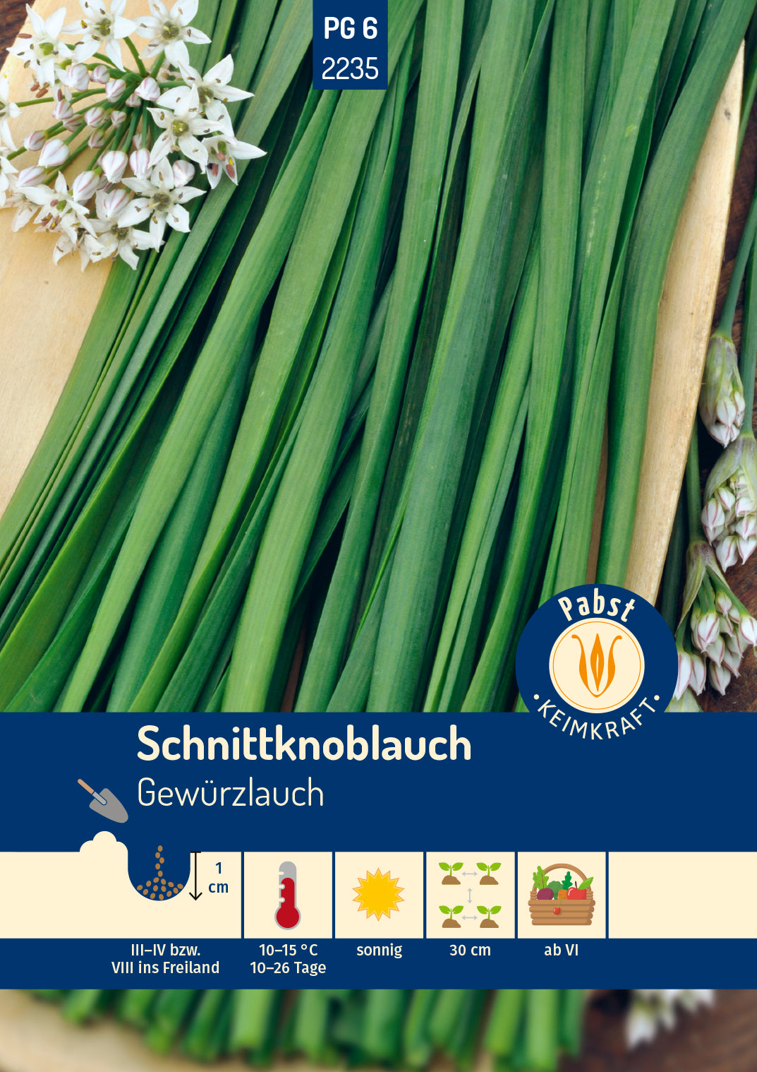 Schnittknoblauch mehrjährig & würzig Gewürzlauch