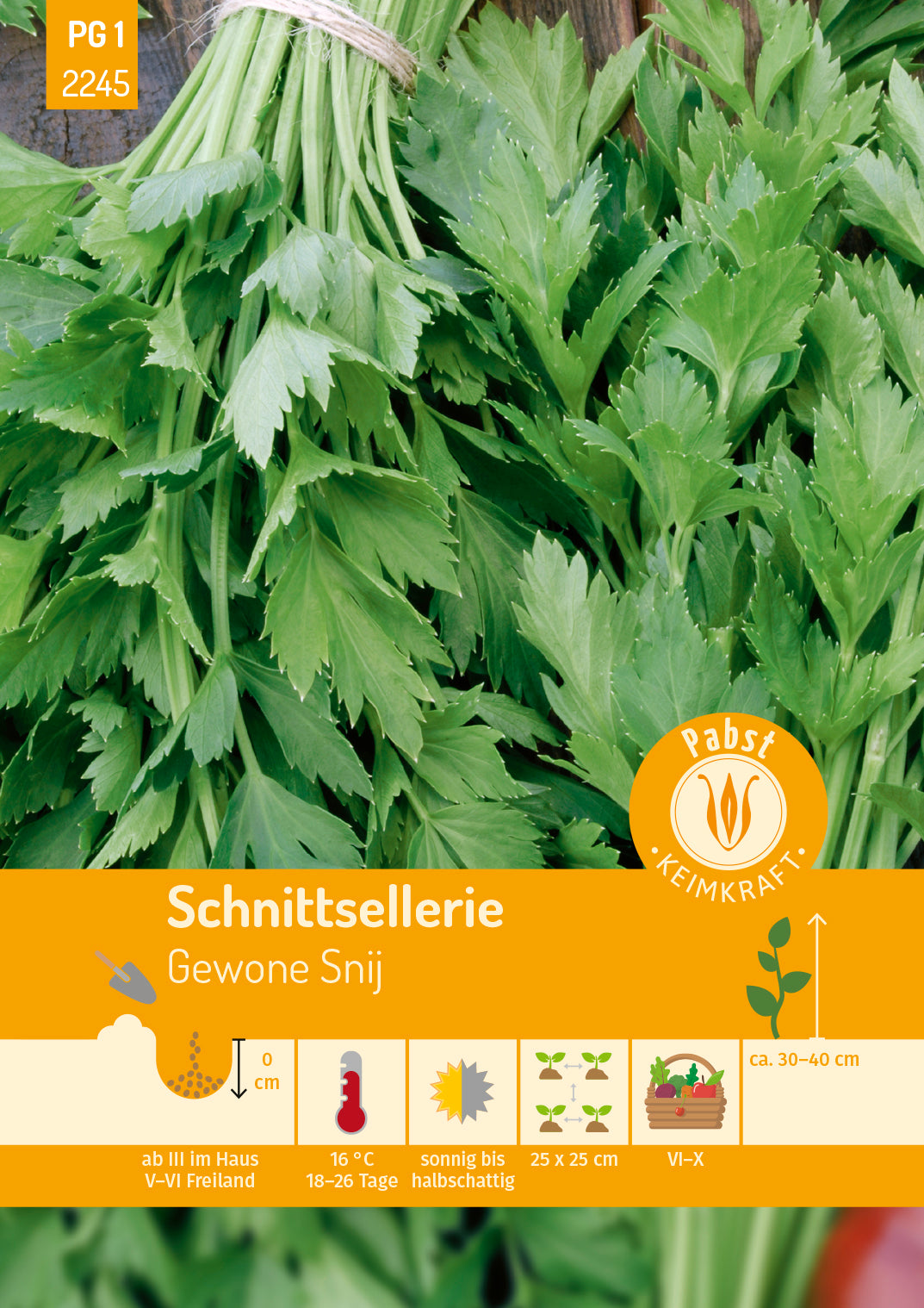 Schnittsellerie aromatisch & ertragreich Gewone Snij