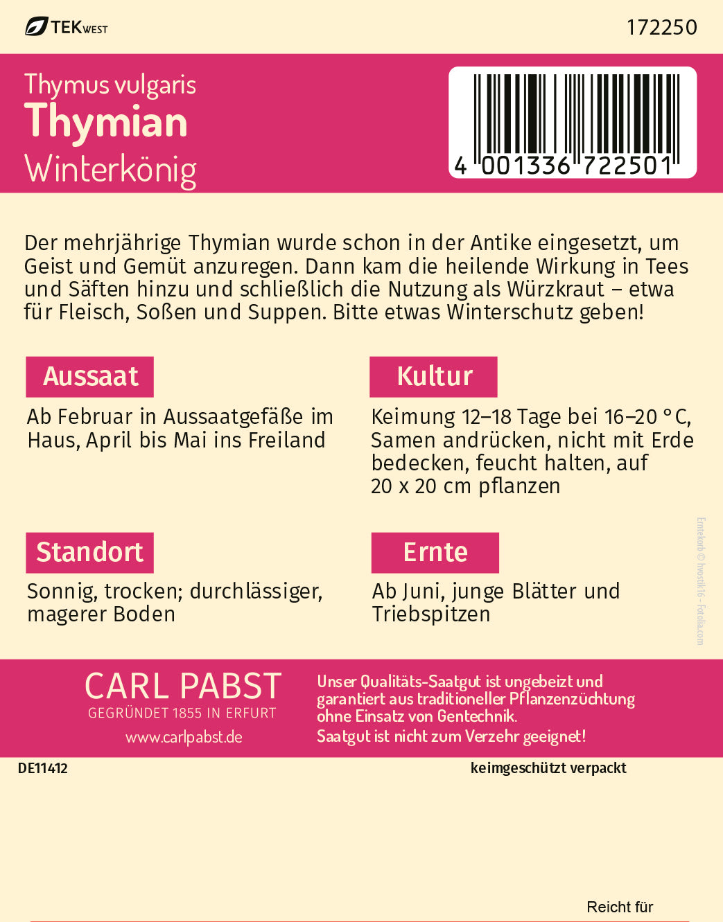 Thymian Winterkönig