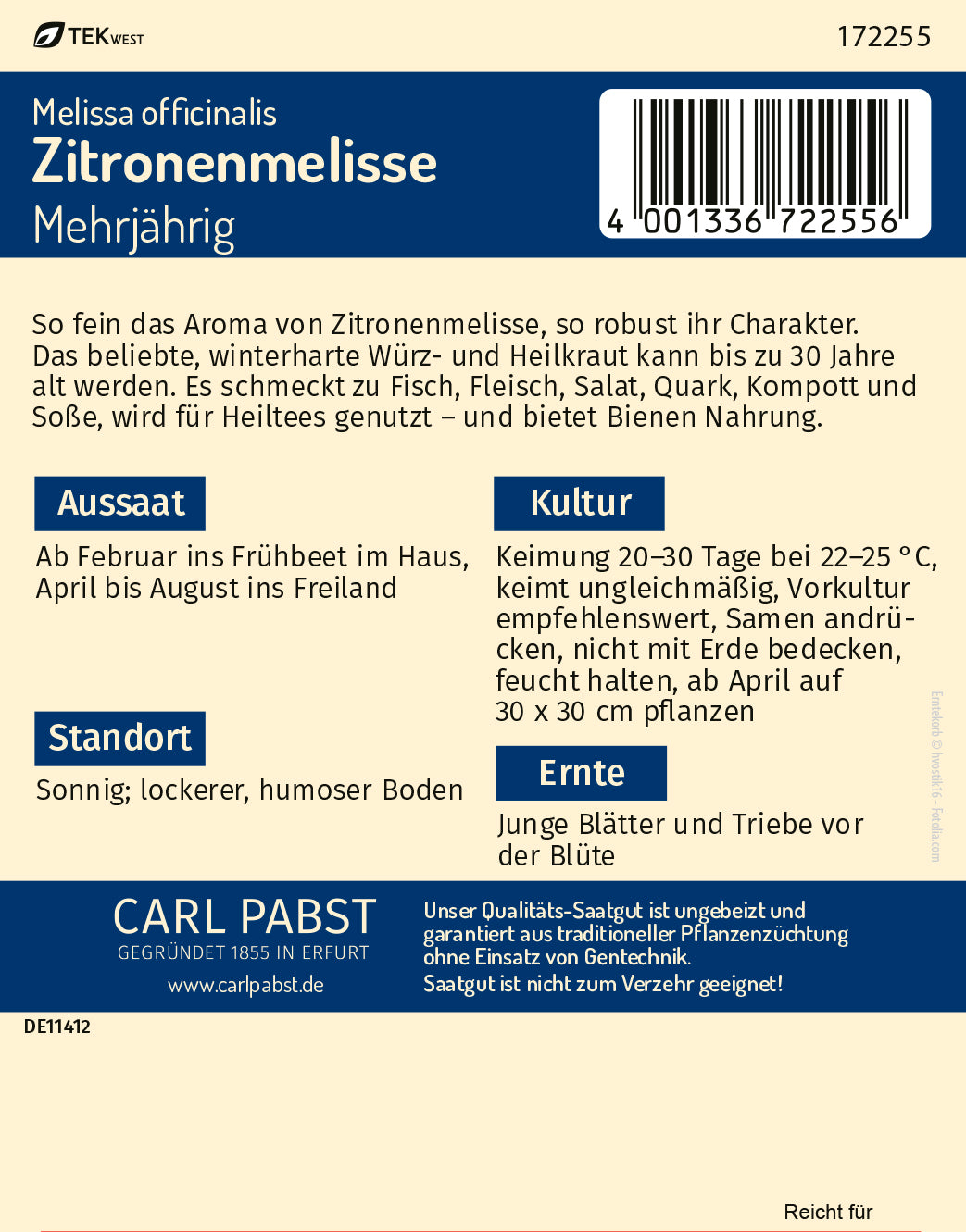 Zitronenmelisse ausdauernd & aromatisch