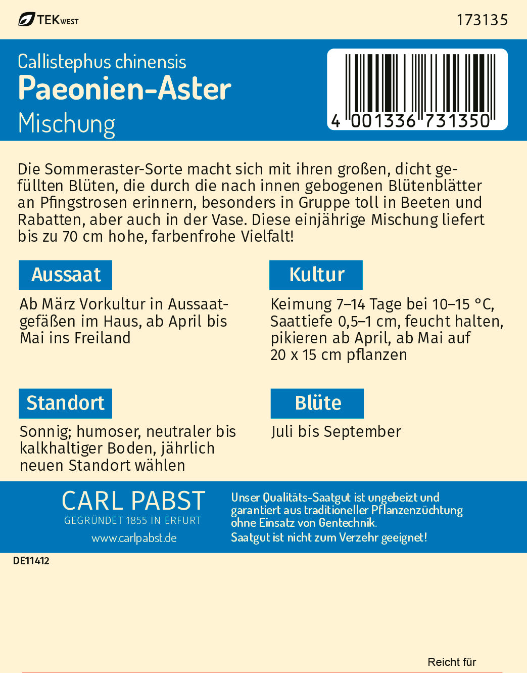 Paeonien - Aster Mischung