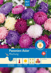 Paeonien - Aster Mischung