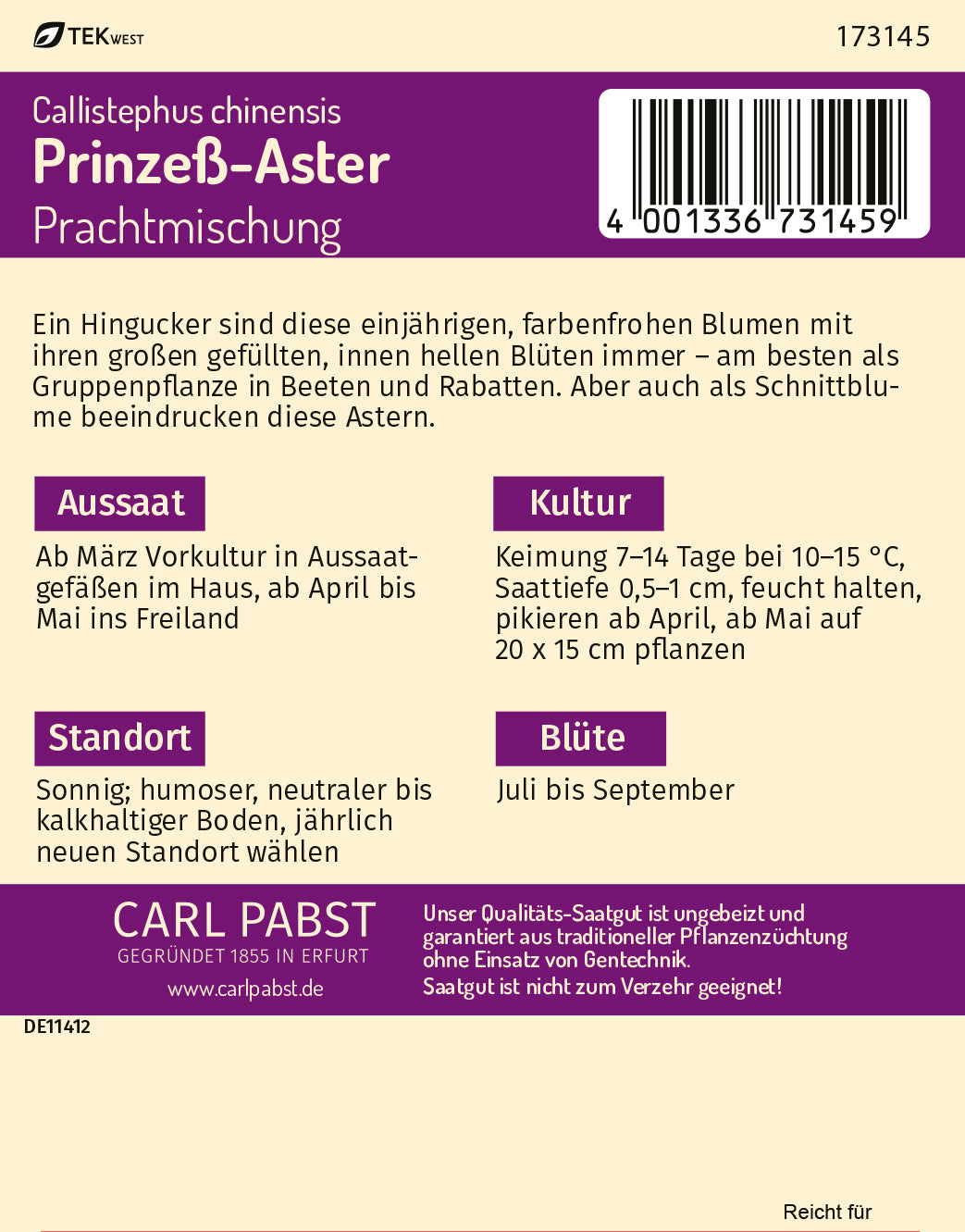 Prinzeß - Aster Prachtmischung