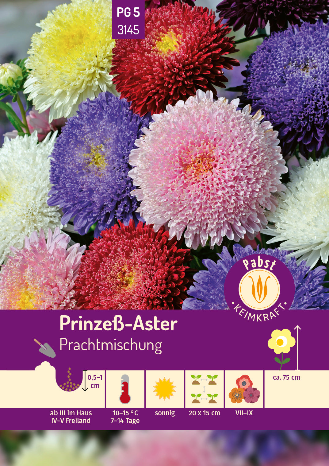Prinzeß - Aster Prachtmischung