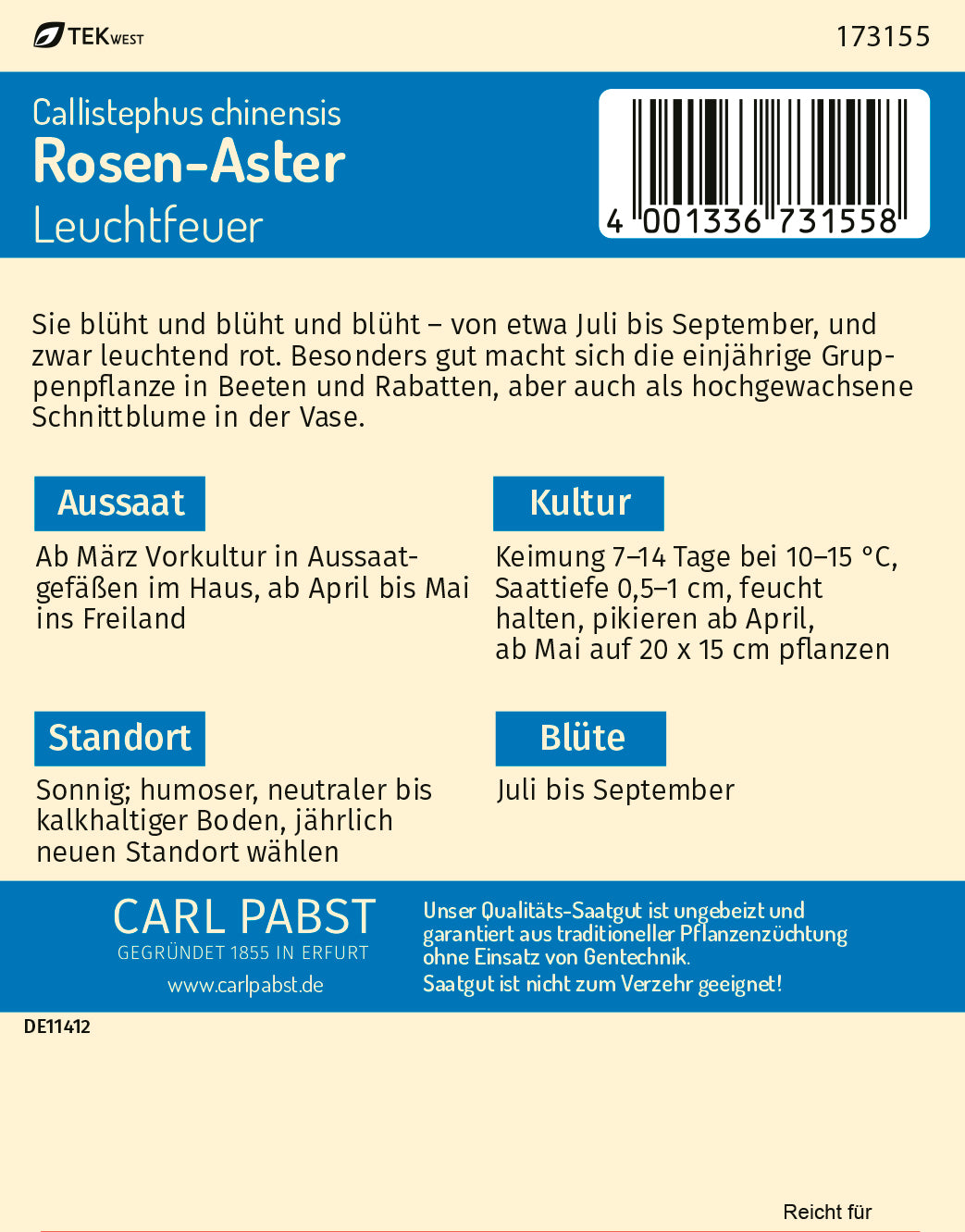 Rosen - Aster Leuchtfeuer
