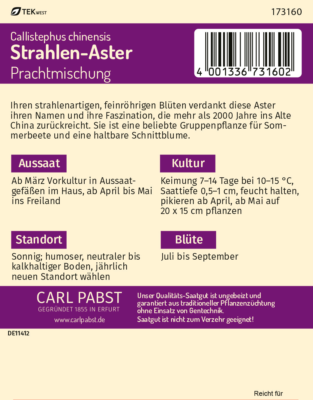 Strahlen - Aster Prachtmischung