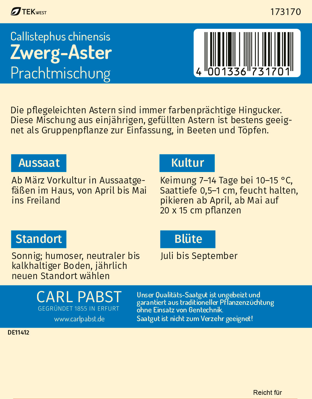Zwerg - Aster Prachtmischung