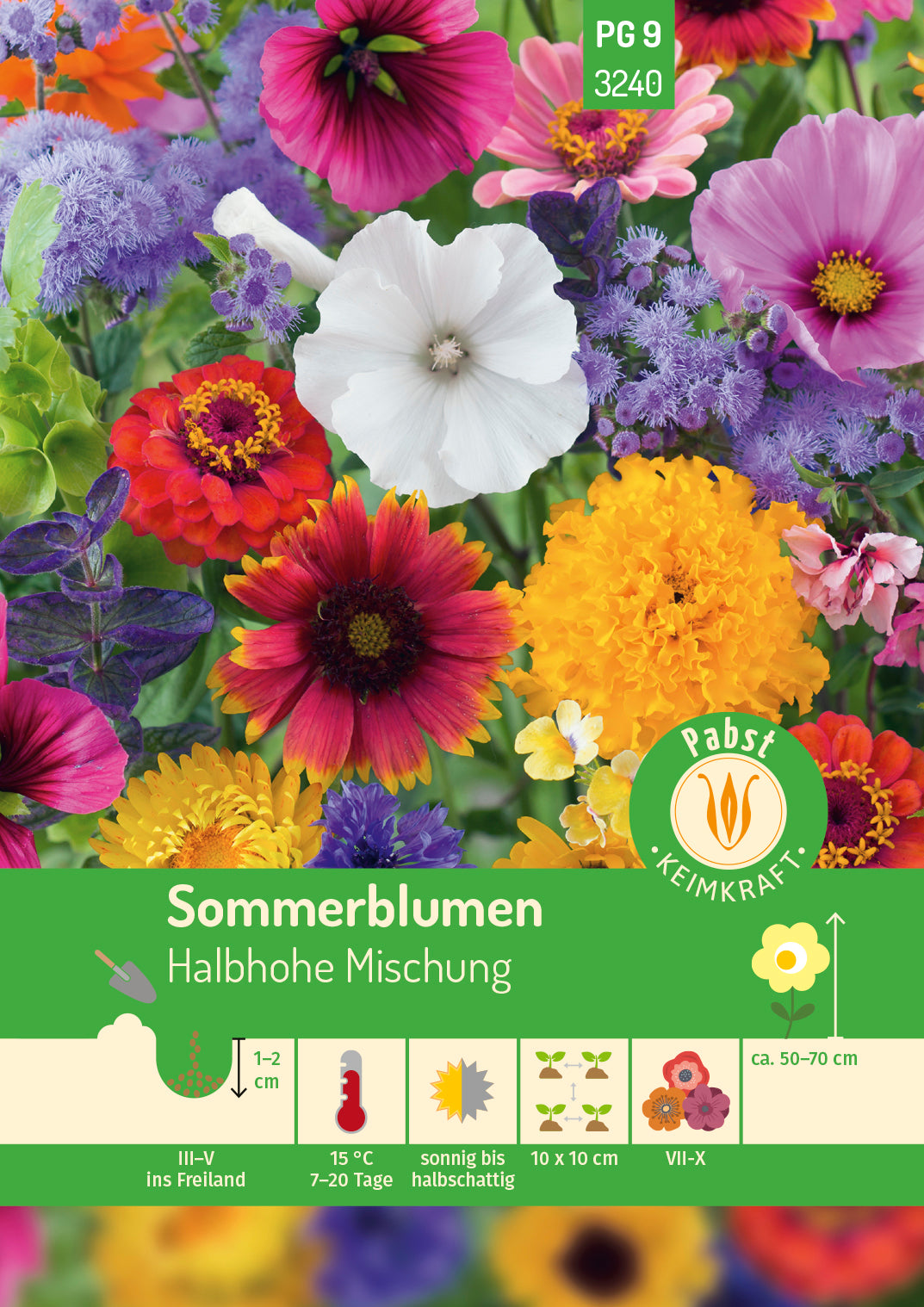 Sommerblumen Halbhohe Mischung