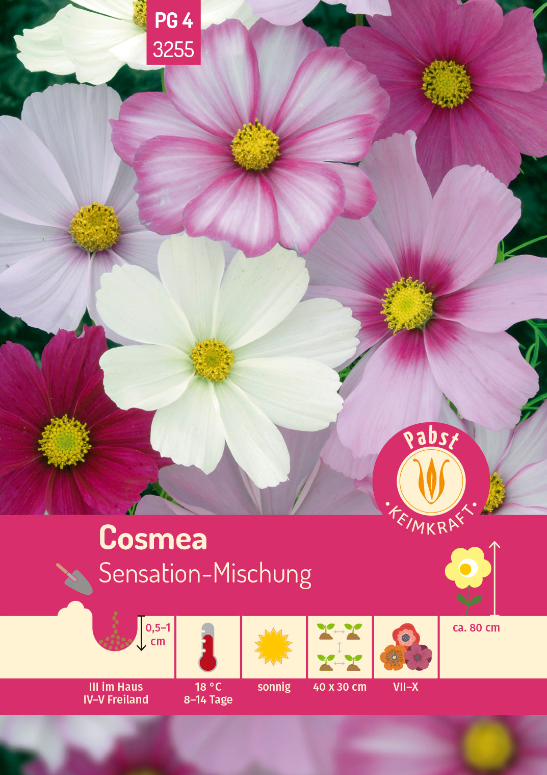 Cosmea Sensation-Mischung