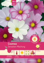 Cosmea Sensation-Mischung