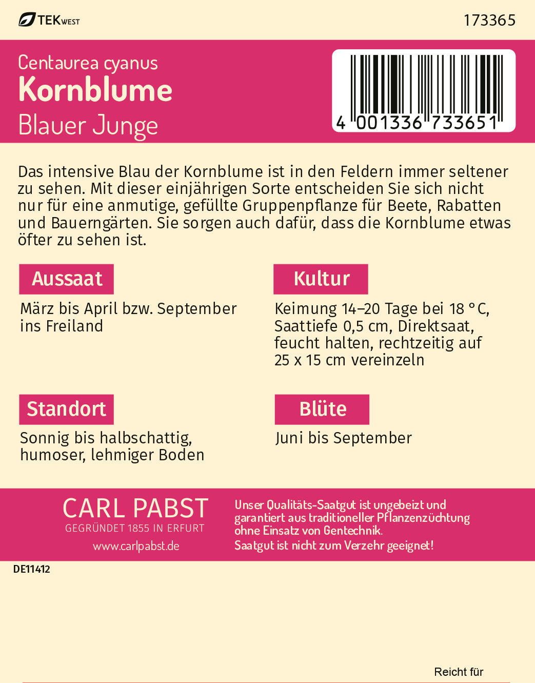Kornblume Blauer Junge