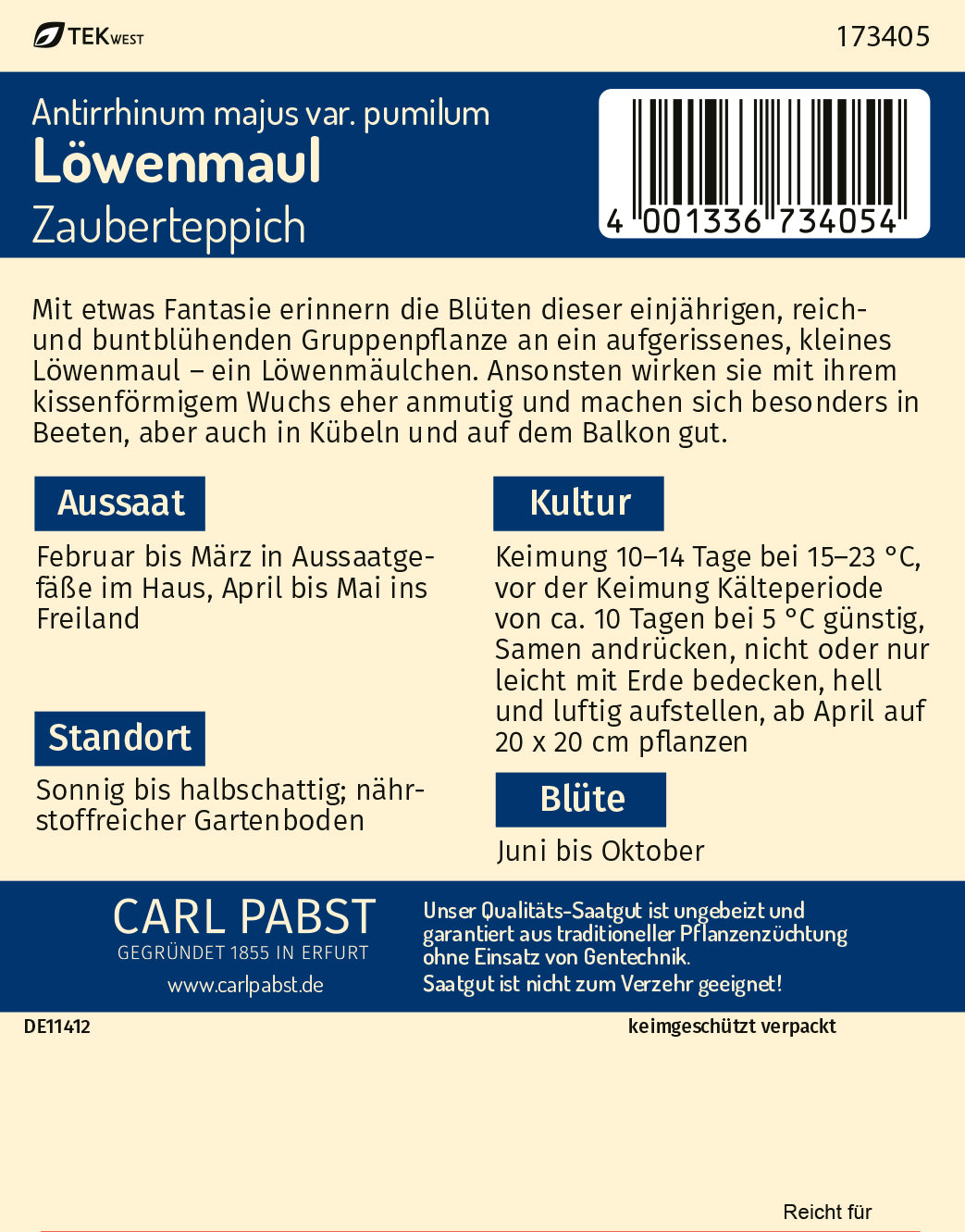 Löwenmaul Zauberteppich