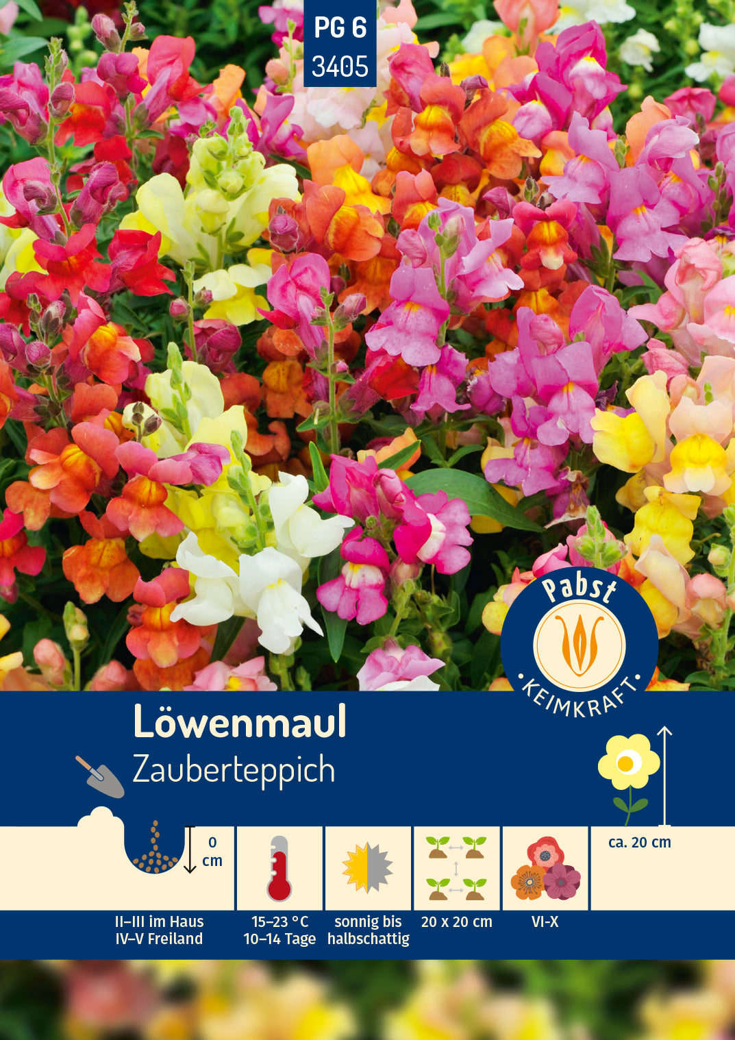 Löwenmaul Zauberteppich