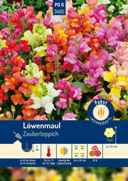 Löwenmaul Zauberteppich