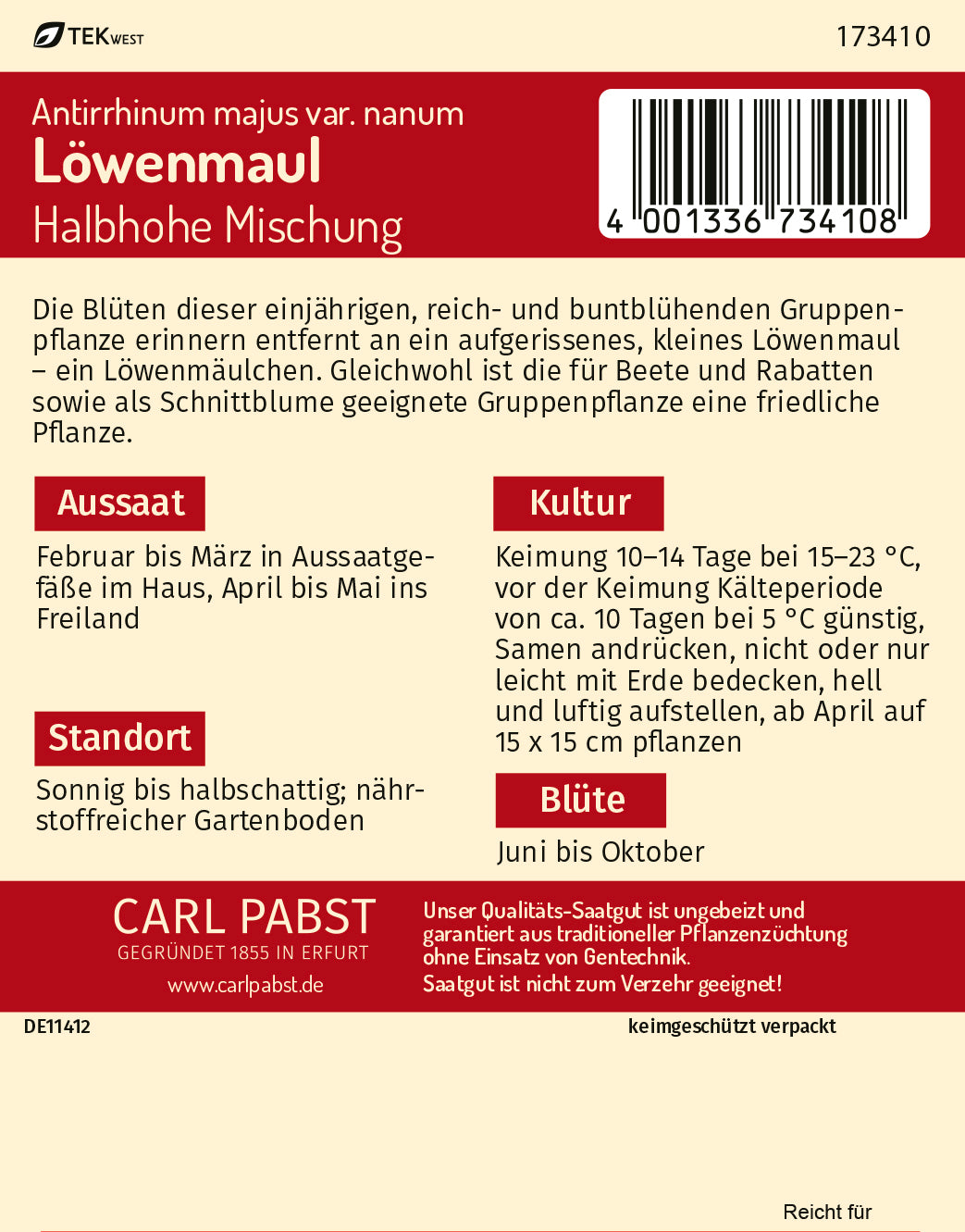 Löwenmaul Halbhohe Mischung