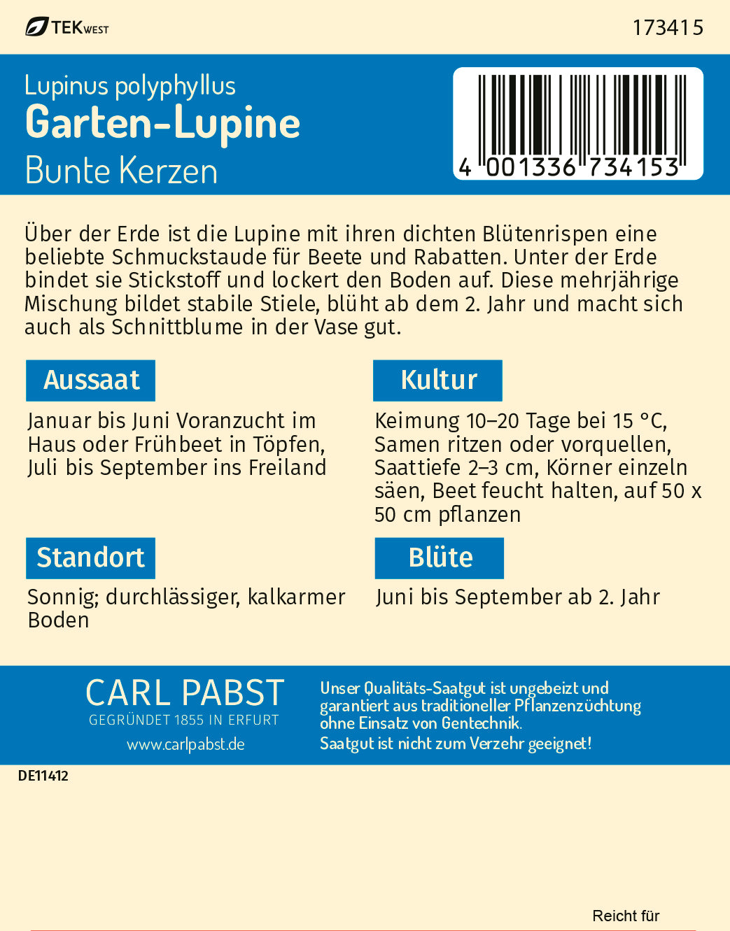 Lupine Bunte Kerzen