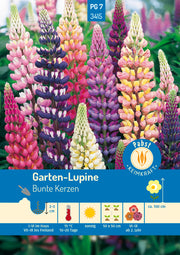 Lupine Bunte Kerzen