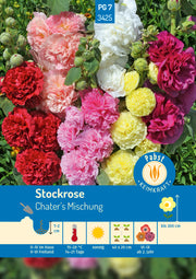 Stockrosen Chater's Mischung