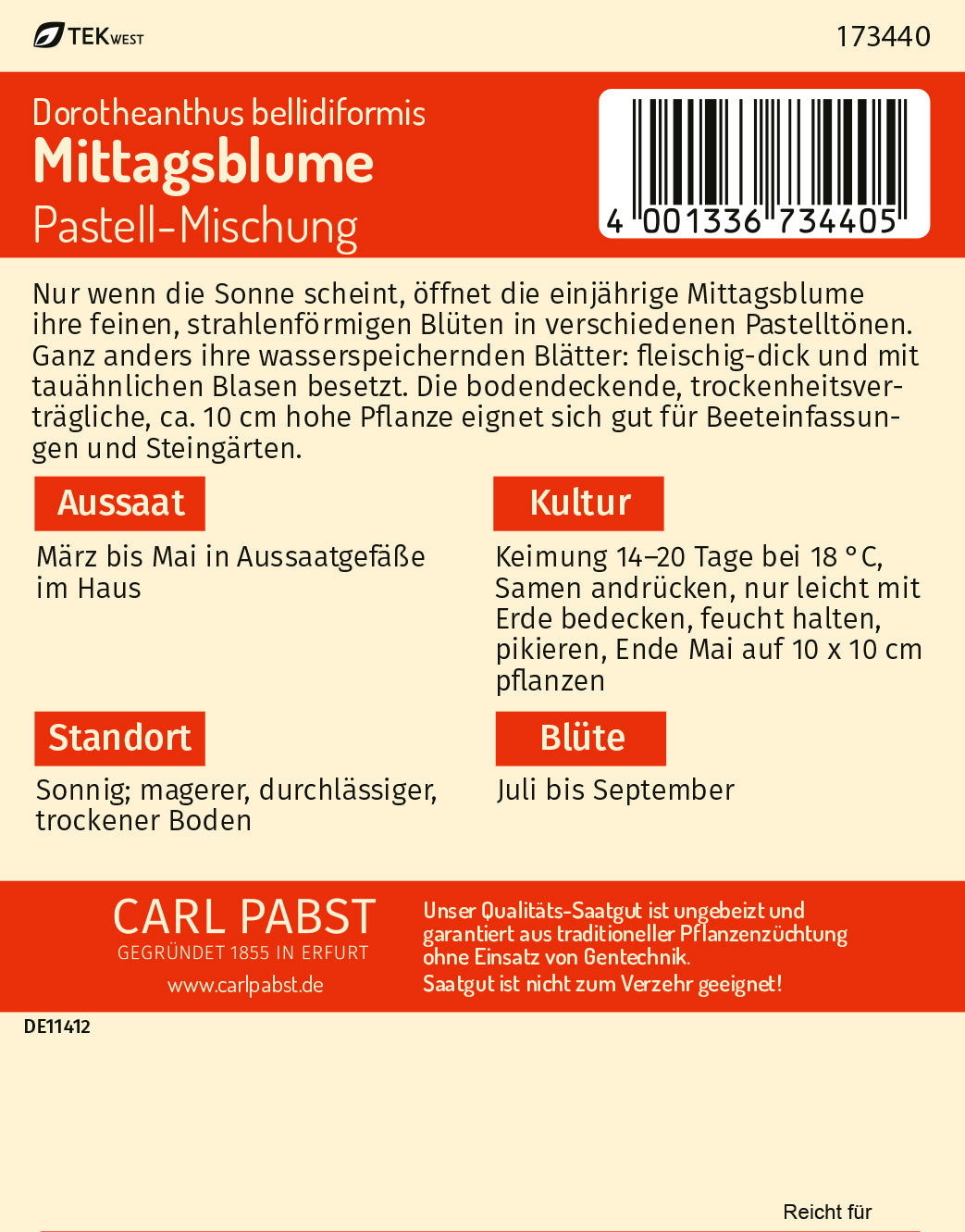 Mittagsblume Pastell-Mischung