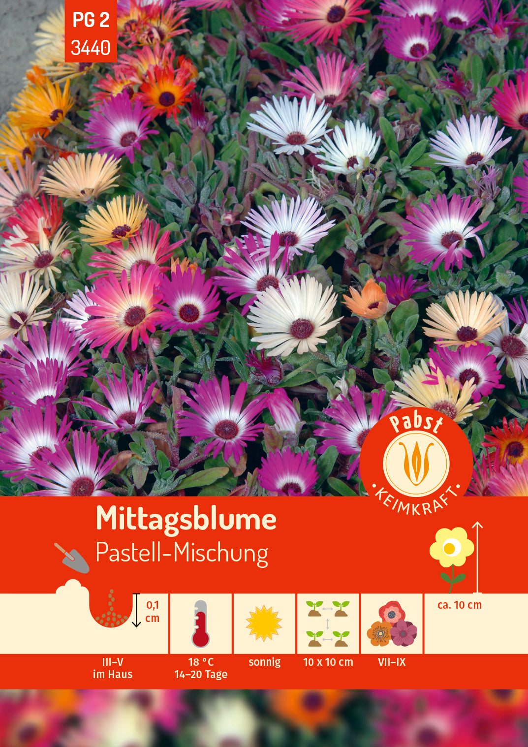 Mittagsblume Pastell-Mischung