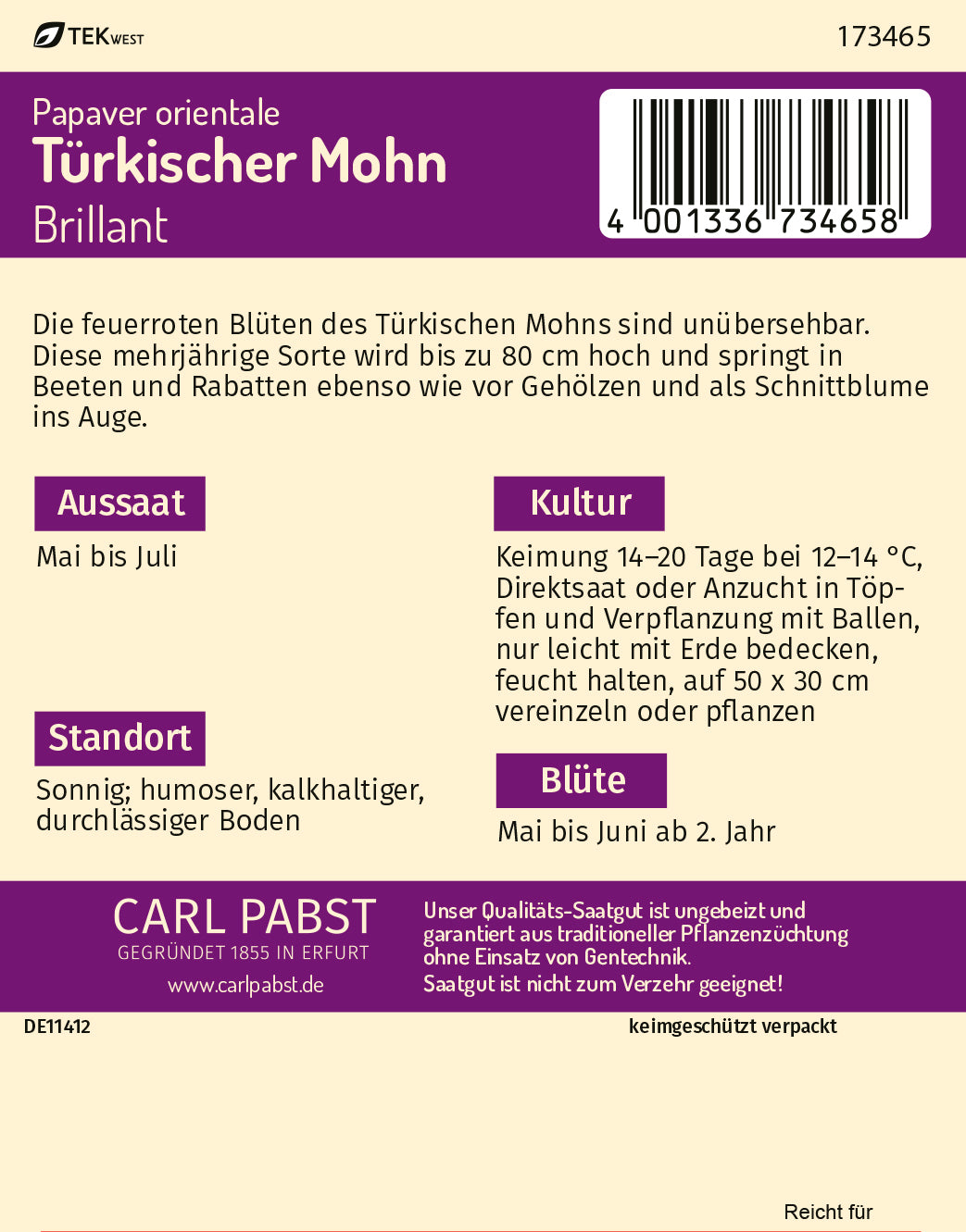 Türkischer Mohn Brillant