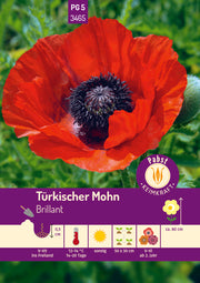Türkischer Mohn Brillant