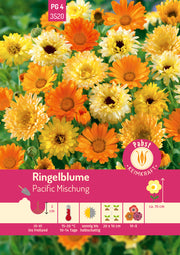 Ringelblume Pacific Mischung