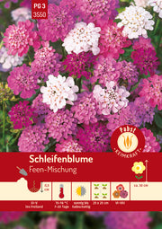 Schleifenblume Feen-Mischung