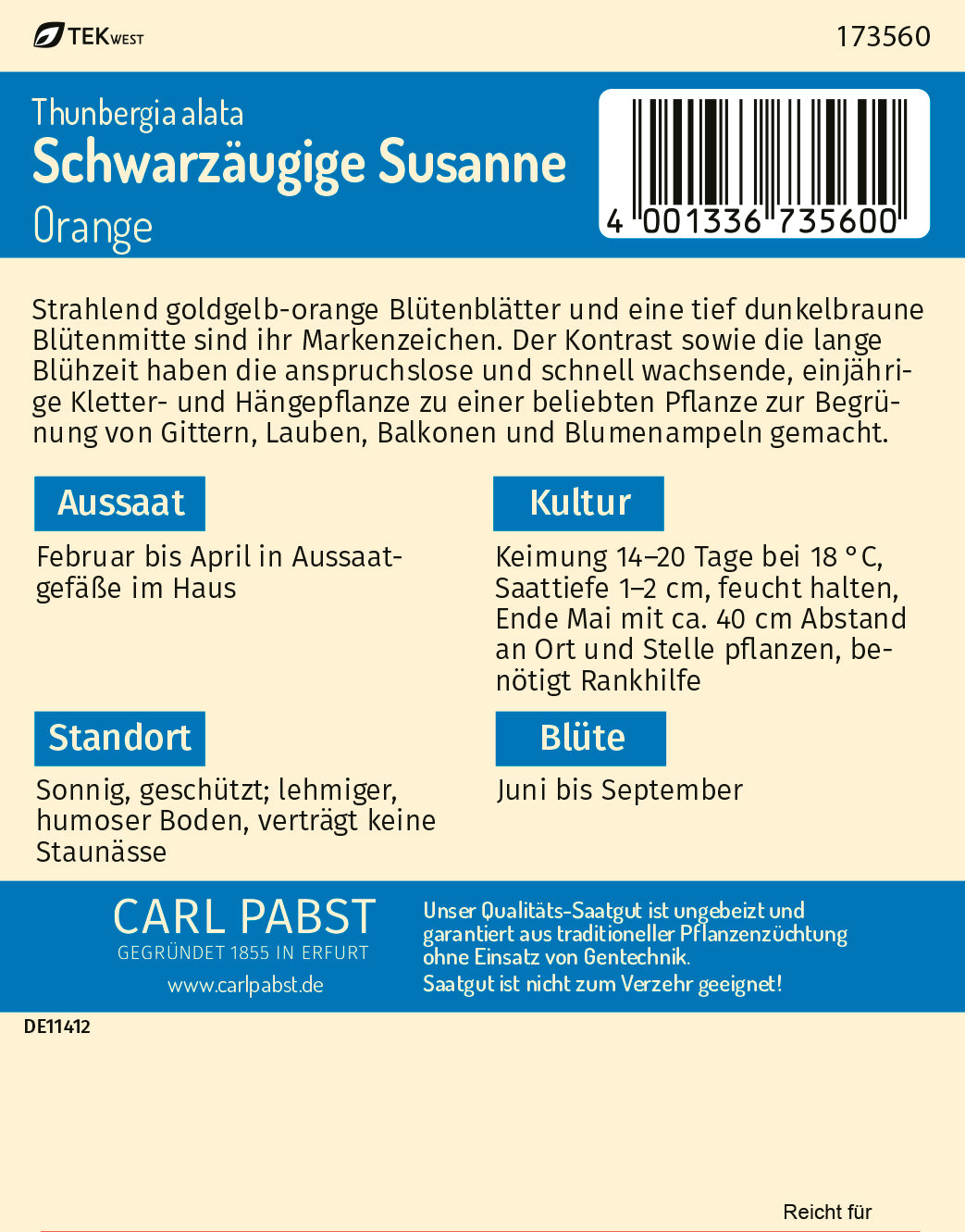 Schwarzäugige Susanne Orange/Gelb