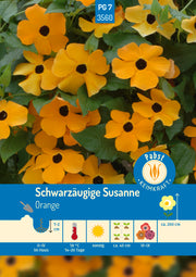 Schwarzäugige Susanne Orange/Gelb