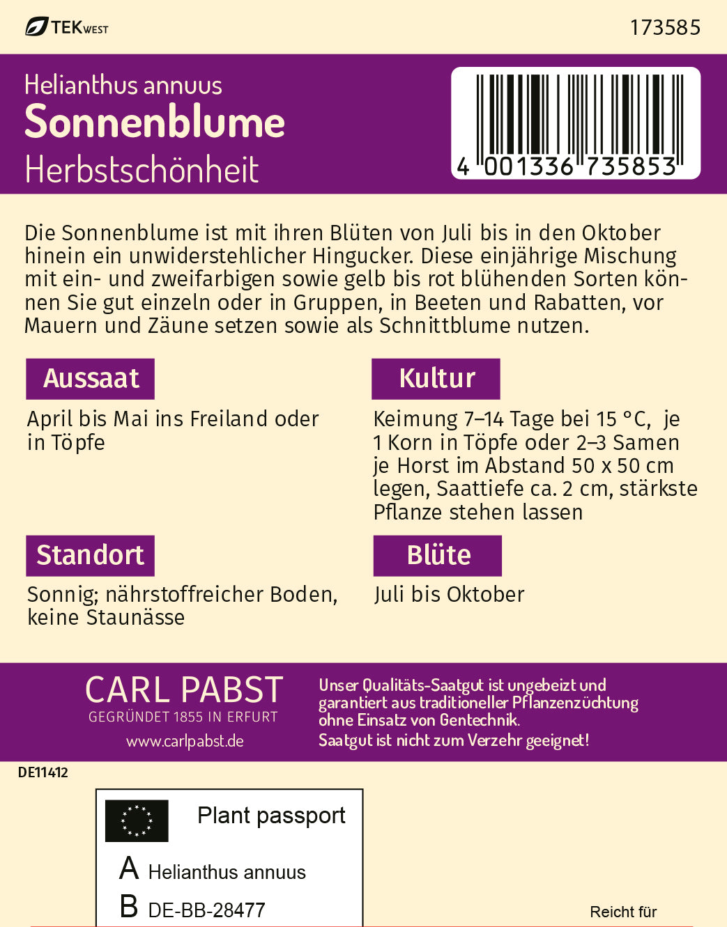 Sonnenblume Herbstschönheit