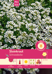 Steinkraut Schneedecke