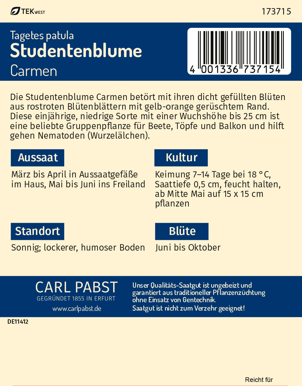 Studentenblume Carmen