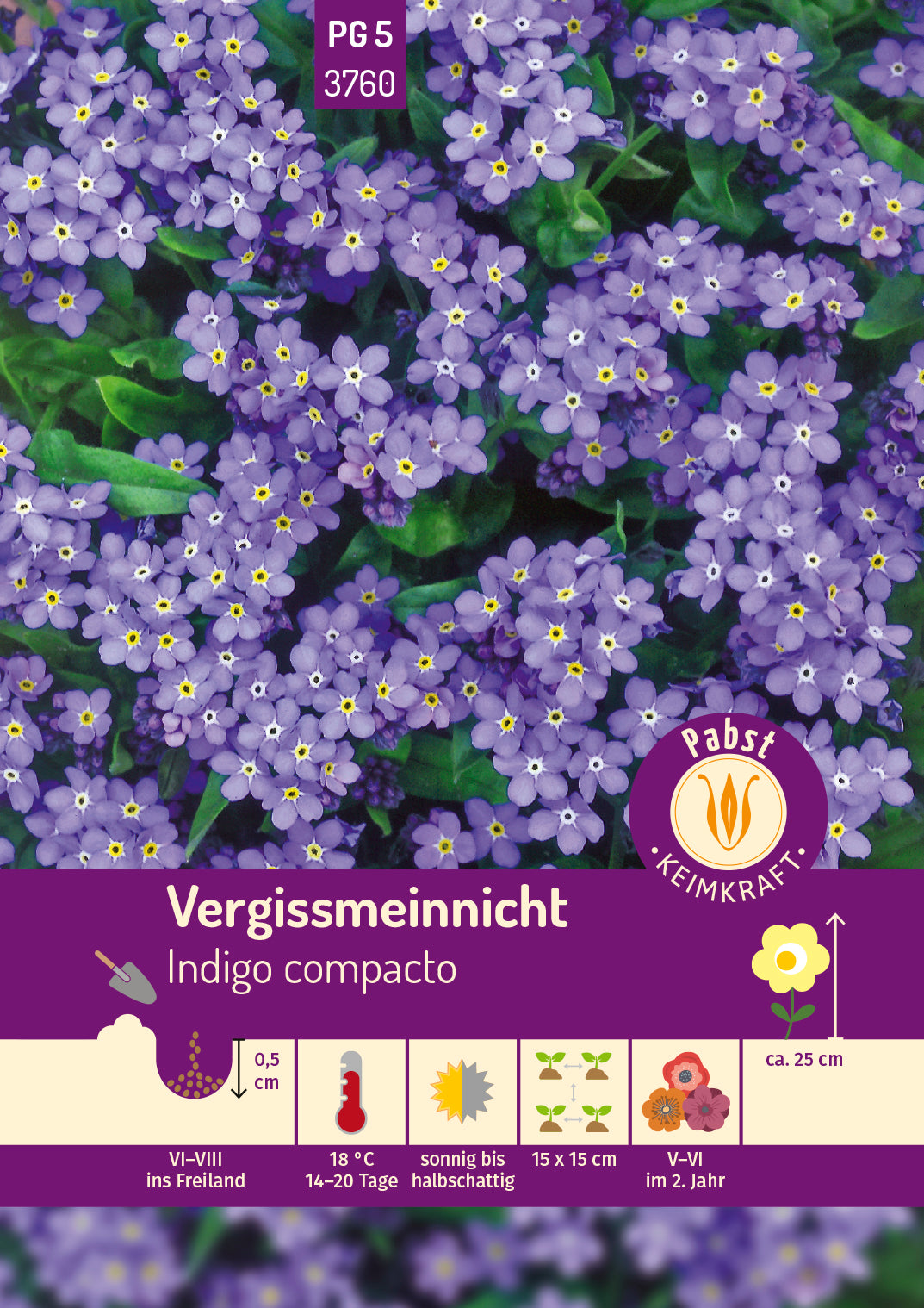 Vergißmeinnicht Indigo compacto