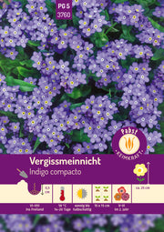 Vergißmeinnicht Indigo compacto
