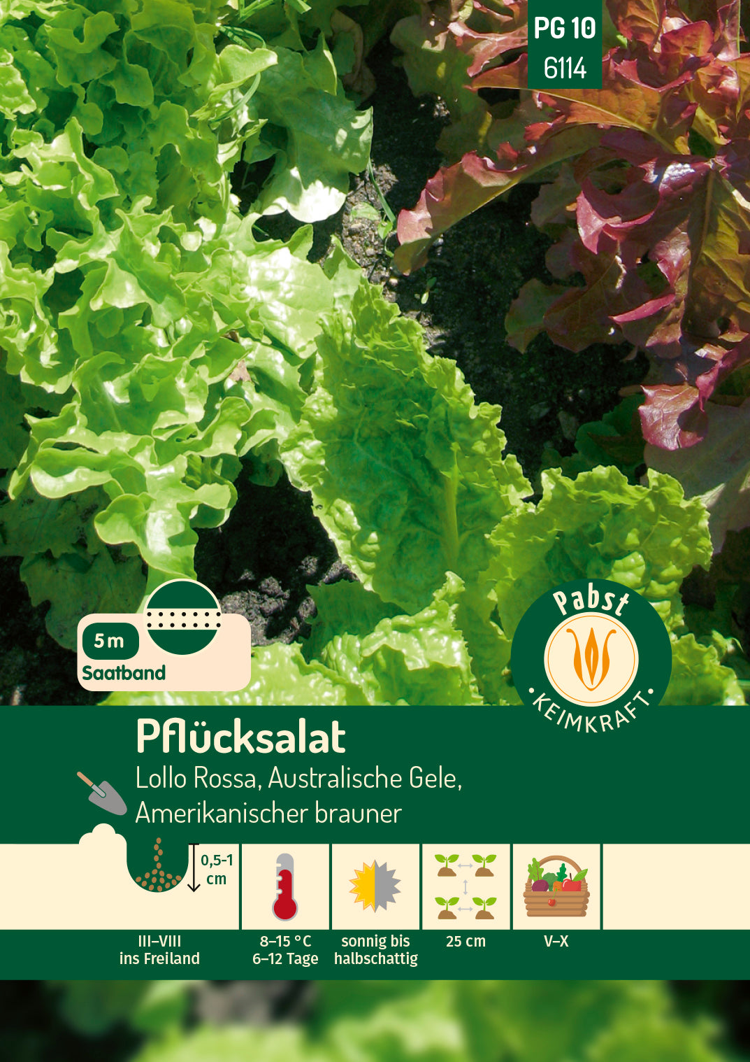 Pflücksalatkombination Saatband 5 m  Lollo rossa Australische Gele Amerikanischer Brauner