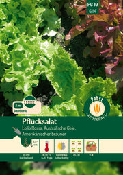 Pflücksalatkombination Saatband 5 m  Lollo rossa Australische Gele Amerikanischer Brauner