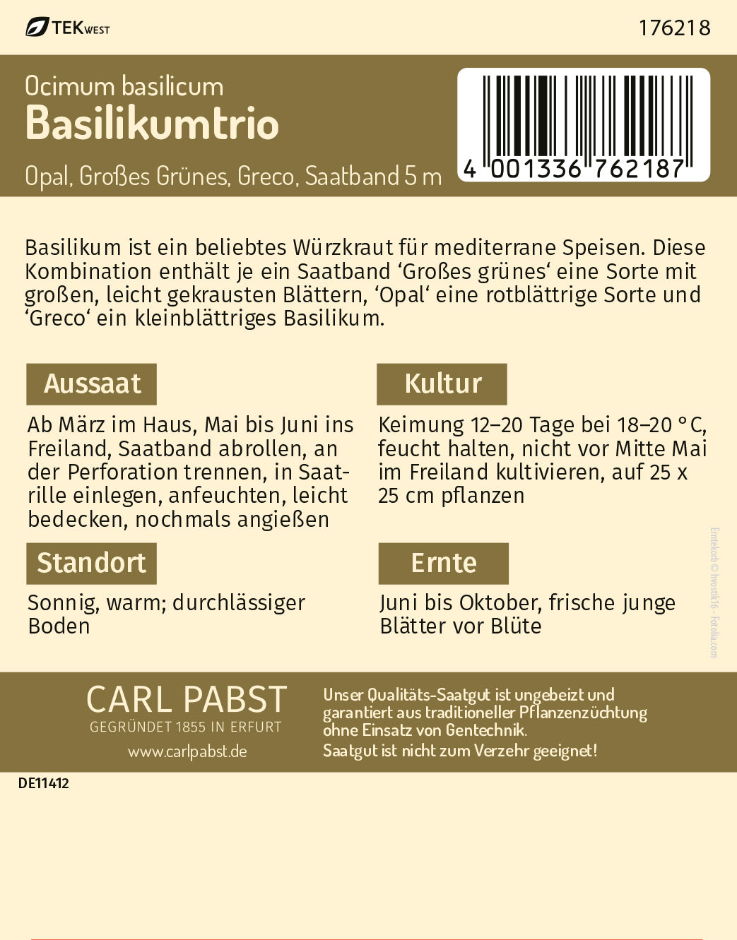 Basilikumtrio Saatband 5 m Opal Großes Grünes Greco