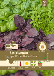 Basilikumtrio Saatband 5 m Opal Großes Grünes Greco
