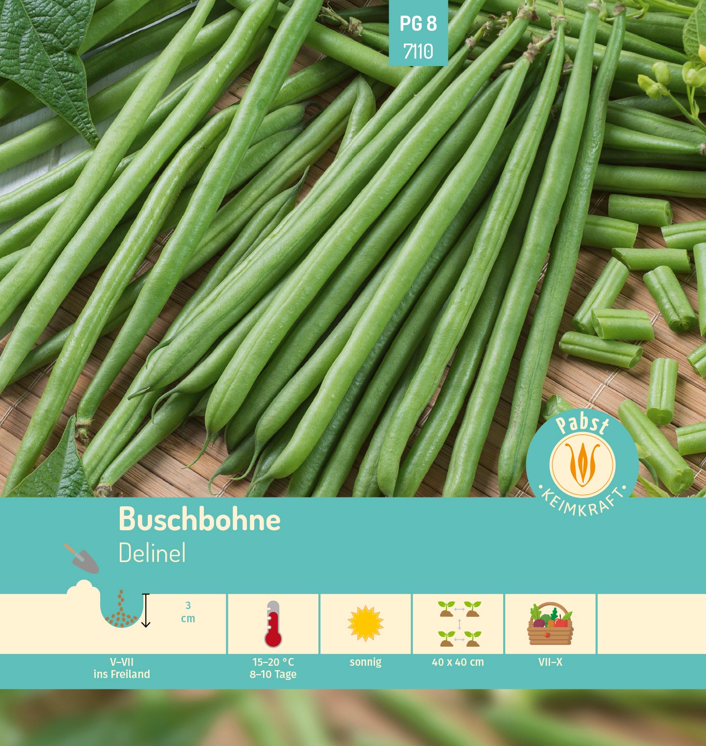Buschbohne mittelfrüh & fadenlos Delinel