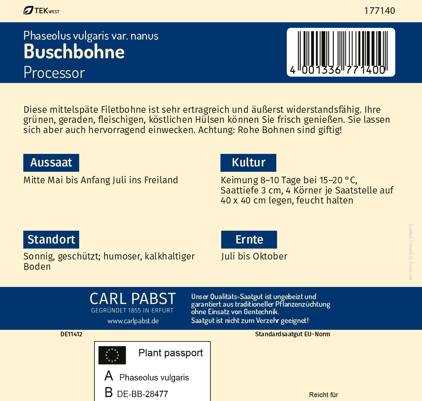 Buschbohne mittelspät & robust Processor