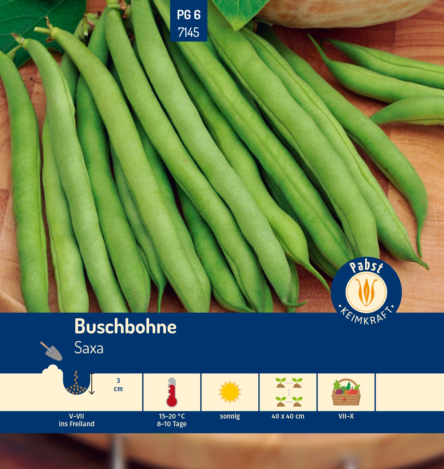 Buschbohne sehr früh & raschwüchsig Saxa