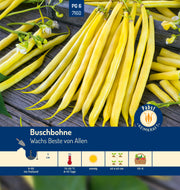 Buschbohne mittelfrüh & robust Wachs Beste von Allen