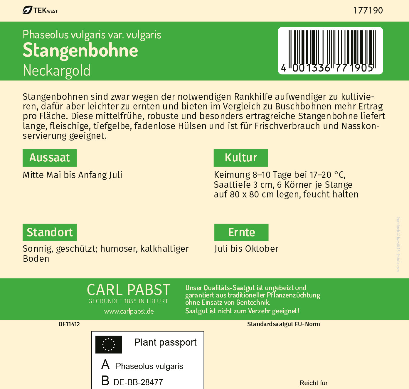 Stangenbohne fadenlos & robust Neckargold