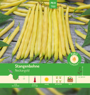 Stangenbohne fadenlos & robust Neckargold