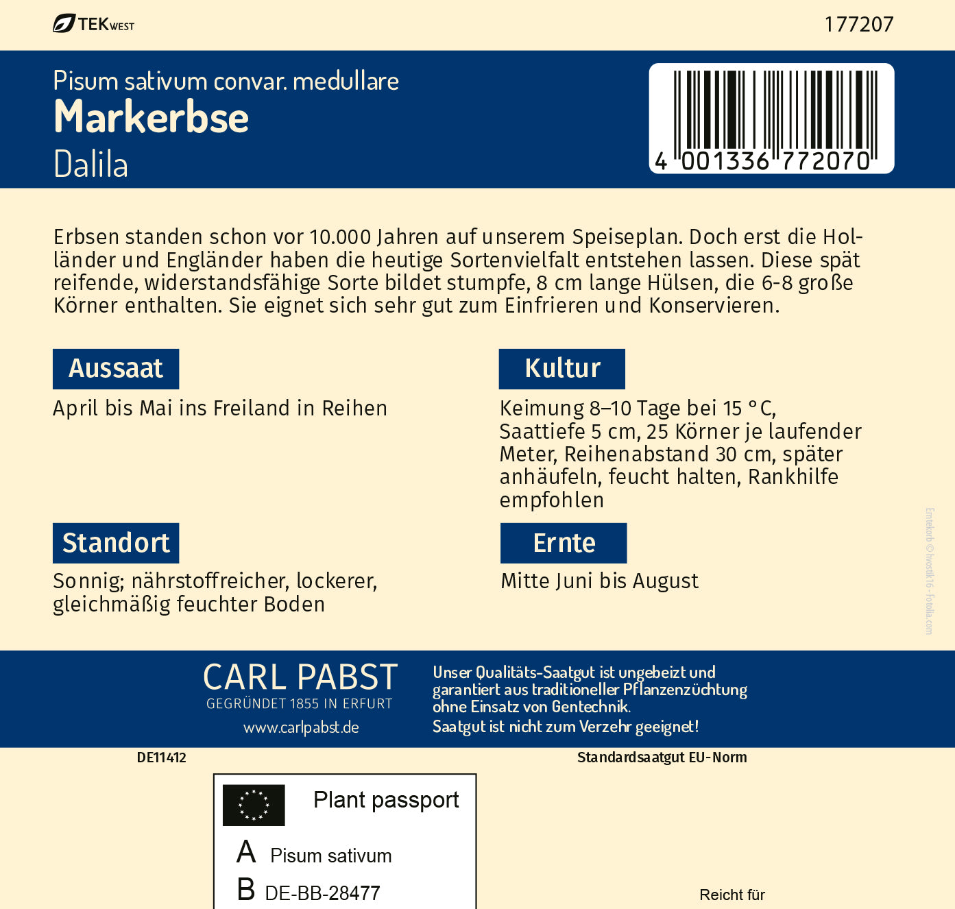 Markerbse spät & niedrig Dalila