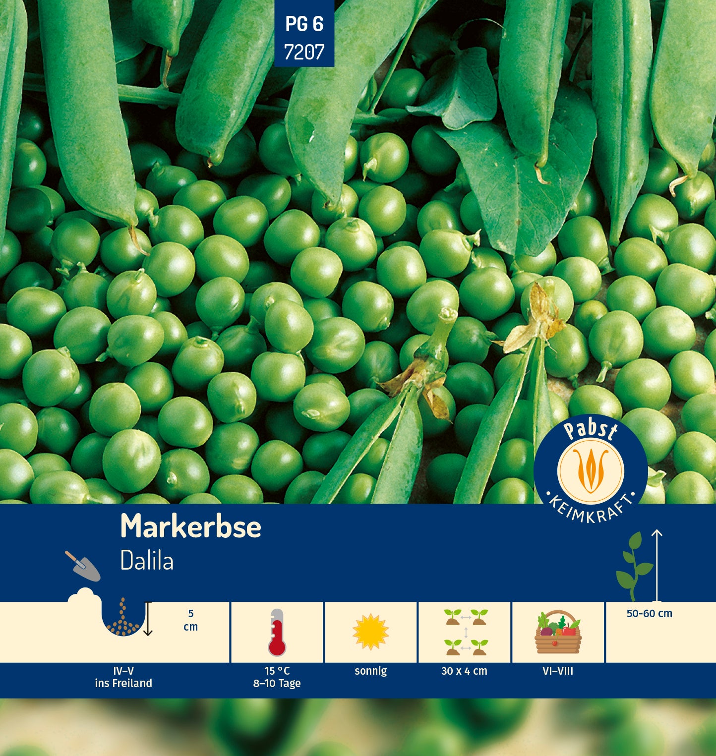 Markerbse spät & niedrig Dalila
