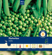 Markerbse spät & niedrig Dalila