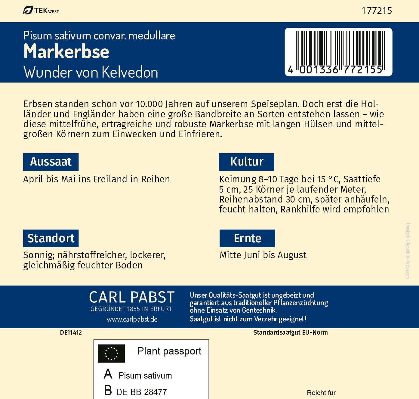 Markerbse mittelfrüh & sehr ertragreich Wunder von Kelvedon